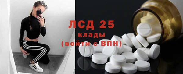таблы Богородицк