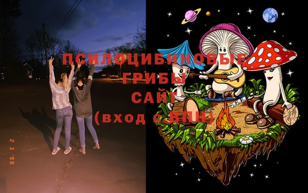 Альфа ПВП Богданович