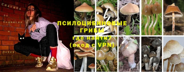МДПВ Богородск