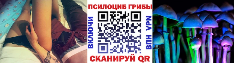 Псилоцибиновые грибы Psilocybe  Оренбург 